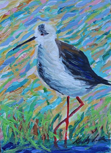 5 x 7 acrylic on canvas of a shore bird Sanderling.  Sold but prints available.